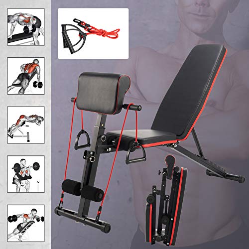 Panca Pesi Regolabile con Sedia Romana Preacher Curl Attrezzatura da Allenamento per Addominali Panca Fitness per Casa Massimo 150 kg con Set di Fasce di Resistenza (Stile Aggiornato)