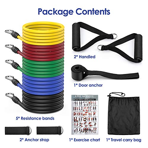 Elastici Fitness Professionali Set con 5 Bande Elastiche Fitness resistenza a 100 LB Attrezzi elastici palestra fitness casa, Yoga, Pilates