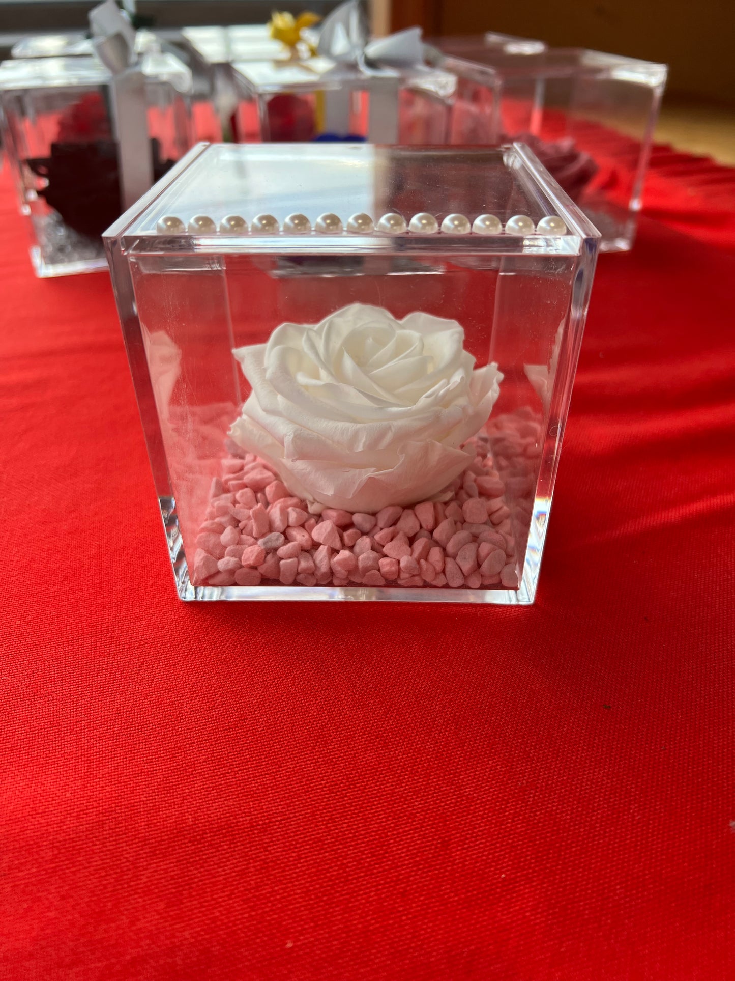 ROSA STABILIZZATA MISURA GRANDE