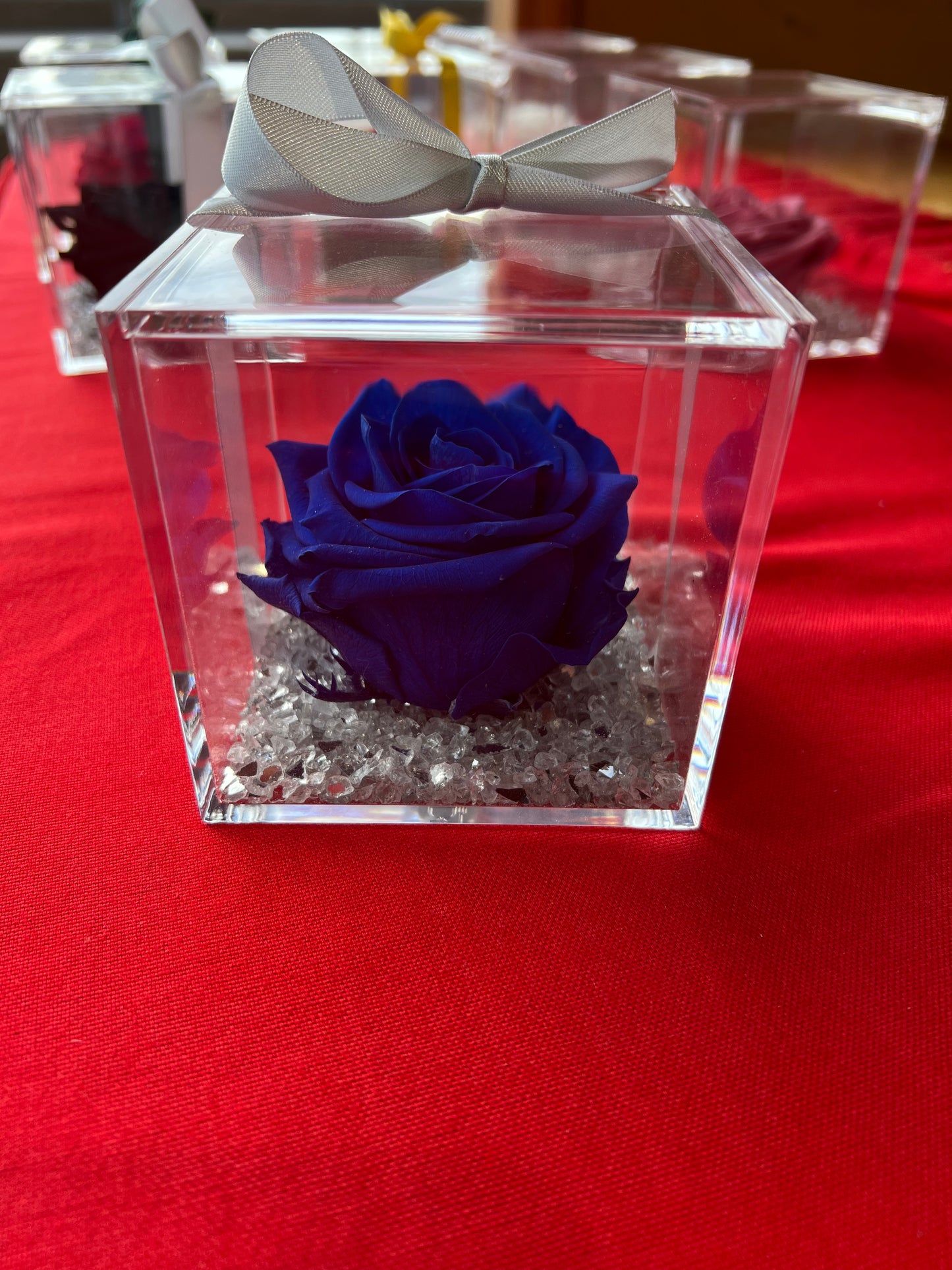 ROSA STABILIZZATA MISURA GRANDE