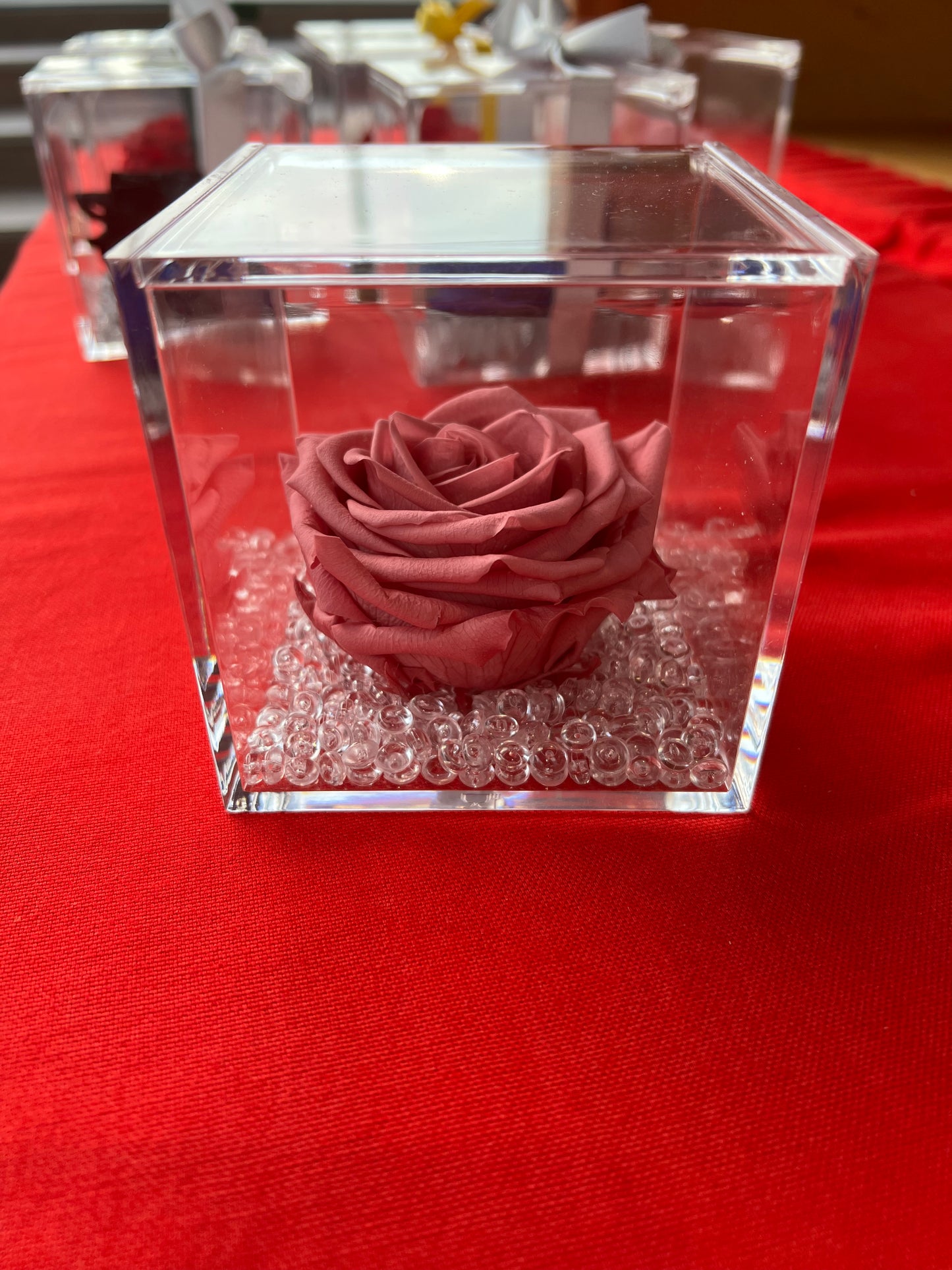 ROSA STABILIZZATA MISURA GRANDE