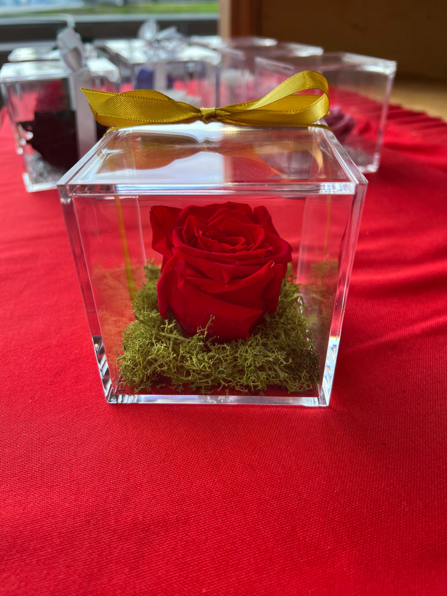ROSA STABILIZZATA MISURA GRANDE