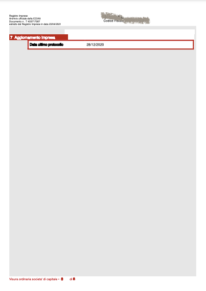 VISURA CAMERALE SOCIETA' DI CAPITALI