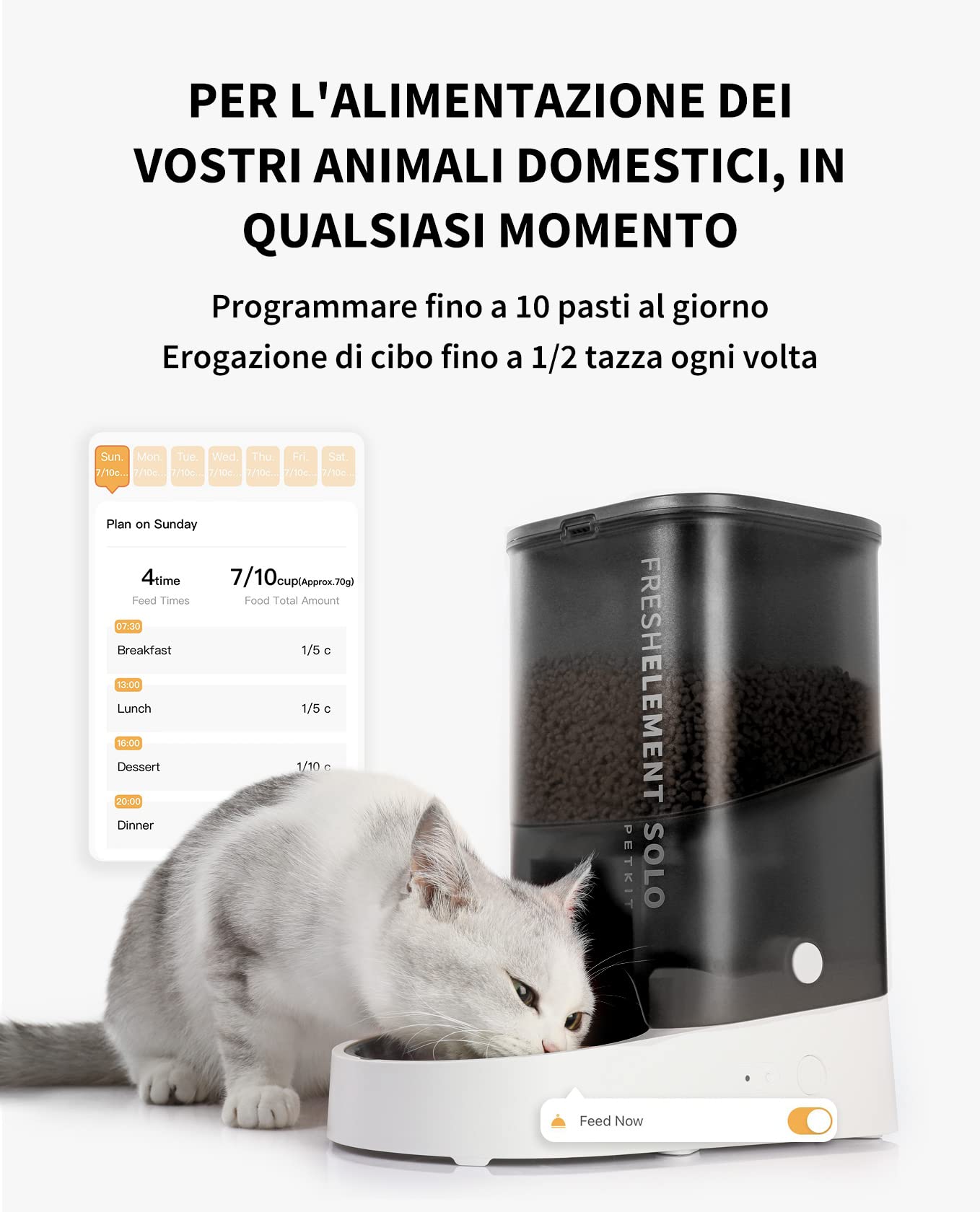 Distributore Automatico Cibo Gatti, 3L