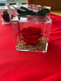 ROSA STABILIZZATA MISURA GRANDE